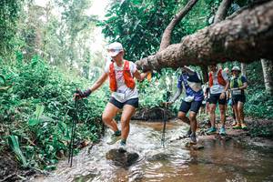 BIB: 
                            <button type="button" onclick="openModal(25374414)" class="btn btn-primary btn-sm float-right btn-popup" data-toggle="modal" data-target=".modal-high-quality">
                        <i class="fas fa-shopping-cart"></i> Add to Cart
                    </button>
                                            <button type="button" onclick="isThisMe(25374414, true)" class="btn btn-success btn-sm float-right btn-popup btn-isme hidden" data-toggle="tooltip" data-placement="bottom" title="นี่คือรูปของคุณใช่ไหม คลิกที่นี่เพื่อเอาเข้าอัลบั้ม">
                        <i class="fas fa-plus"></i> Add to album
                    </button>
                    <button type="button" onclick="isThisMe(25374414, false)" class="btn btn-warning btn-sm float-right btn-popup btn-isnotme hidden">
                        <i class="fas fa-ban"></i> Remove from album
                    </button>